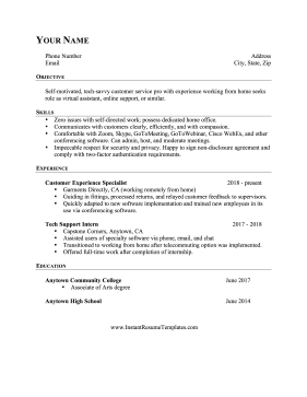 Work From Home Experience Resume