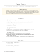 Colorful Career Profile Resume (A4)