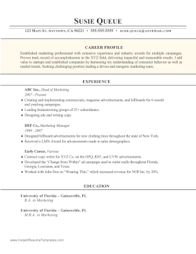 Colorful Career Profile Resume