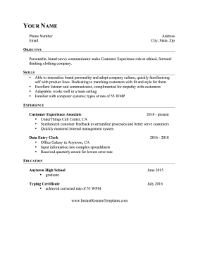 Customer Experience Resume