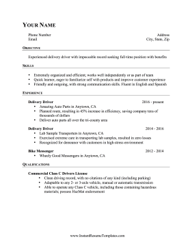 Delivery Driver Resume