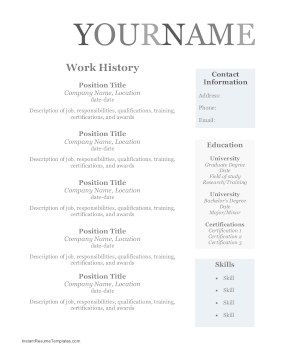 Grayscale Resume (A4)