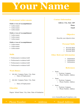 Modern Two Column Resume