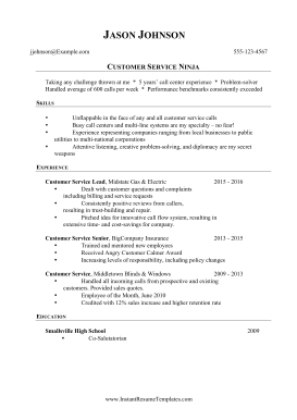 Ninja Resume (A4)