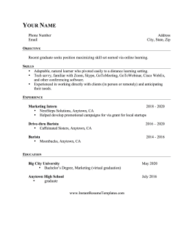 Online Learning Experience Resume
