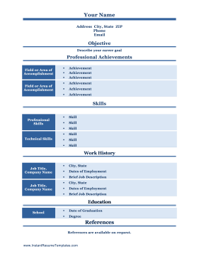 Professional Colorful Resume