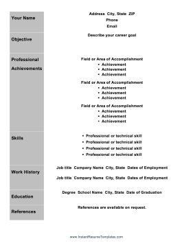 Professional Resume With Dark Bars