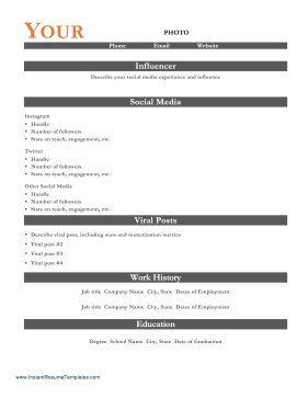 Social Media Influencer Resume