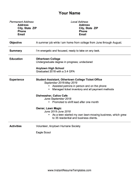 Summer Job Resume