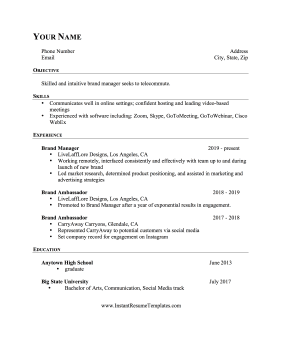 Telecommuting Job Resume