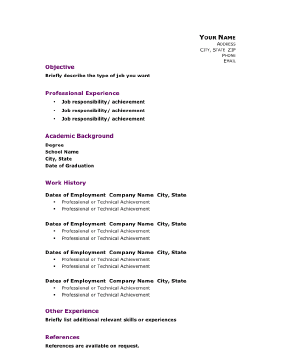 Professional Academic Resume (A4)