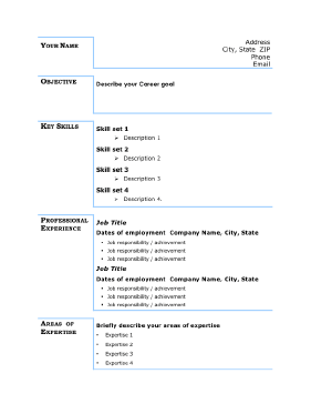 Basic Business Resume - Blue (A4)