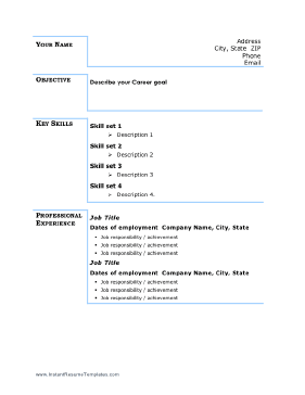 Basic Business Resume - Blue