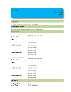Informal Chronological Resume - Blue (A4)