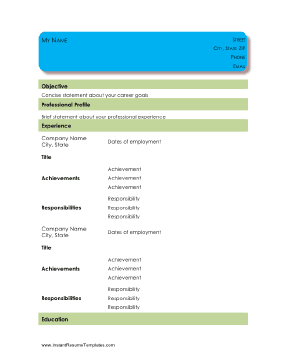 Informal Chronological Resume - Blue