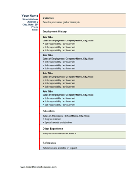 Informal Chronological Resume - Colorful