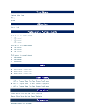 Professional Resume - Bold (A4)