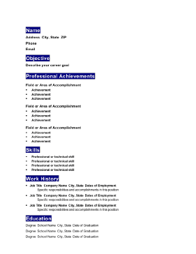 Professional Resume - Highlighted (A4)