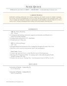 Colorful Career Profile (A4)