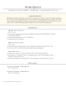 Colorful Career Profile Resume