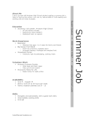 Summer Job Resume (A4)