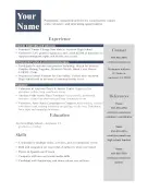 Young Activist Resume (A4)